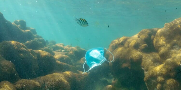 COVID-19 Waste Catastrophic for World’s Oceans