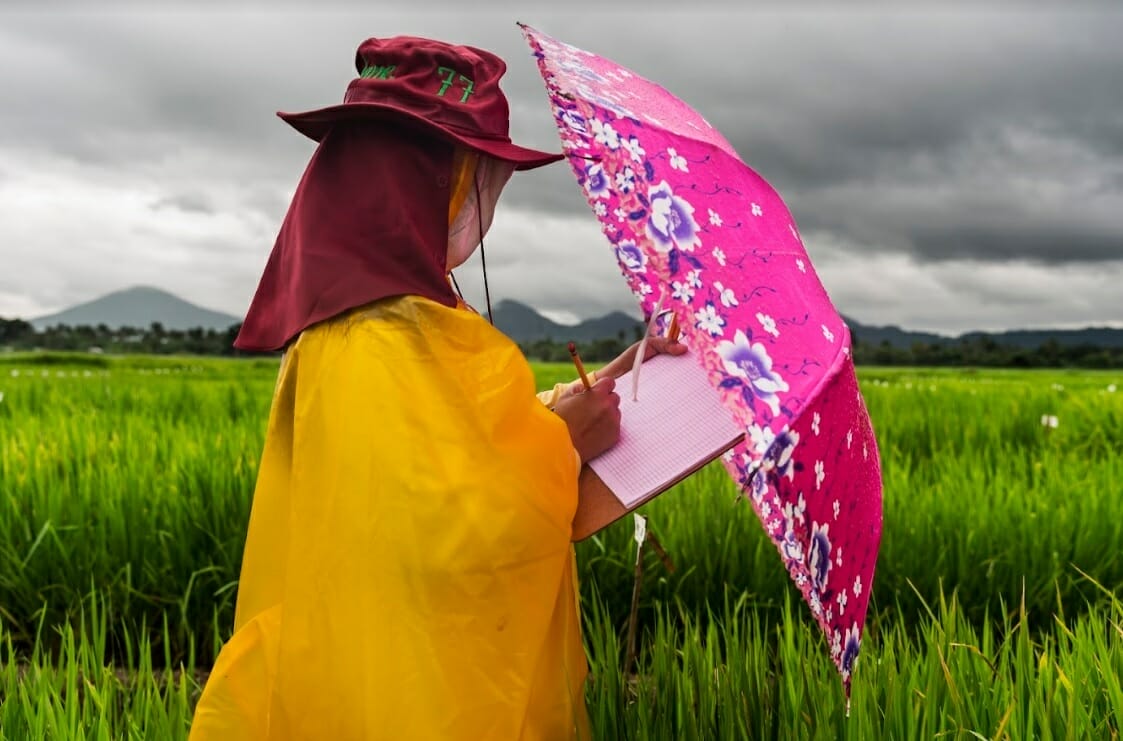 Genebanks Secured from Threats: A Big Step Forward for Biodiversity