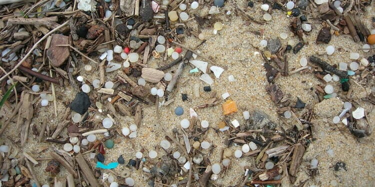 nurdles on a beach