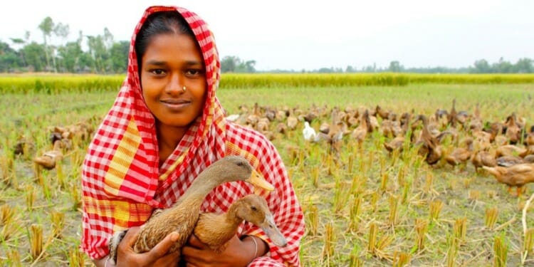 The Concept of One Health Turns Global in 2021: How it was Born