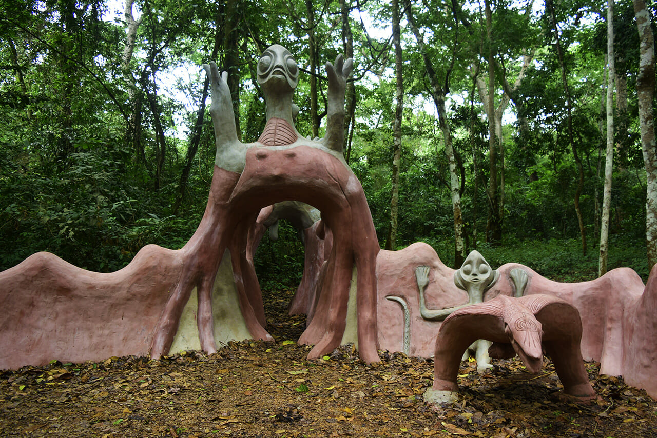 photo of a sacred grove