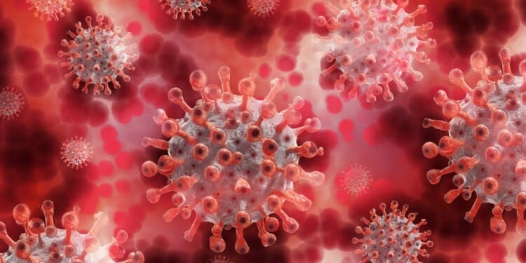 coronavirus