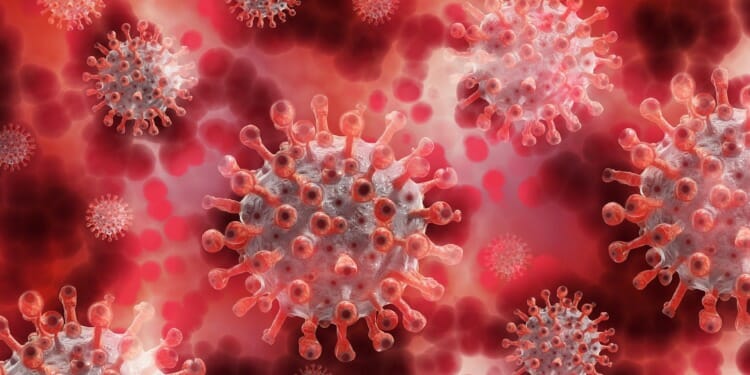 coronavirus