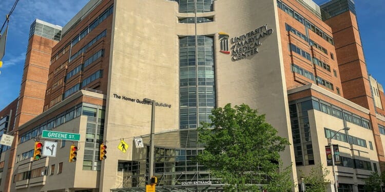 Groundbreaking Heart Surgery Using A Pig’s Heart