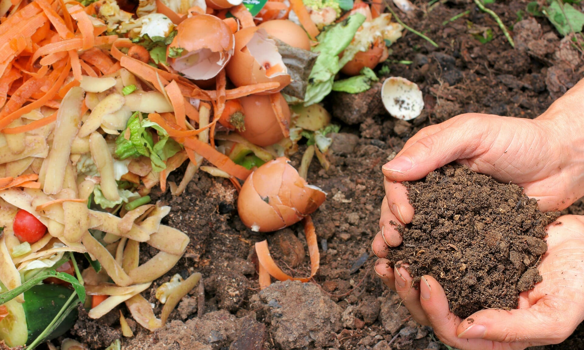 New California Law Requires All Residences and Businesses to Separate Organic Waste for Compost