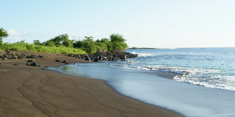 Ecuador takes new steps to protect wildlife, creating a ‘sea highway’