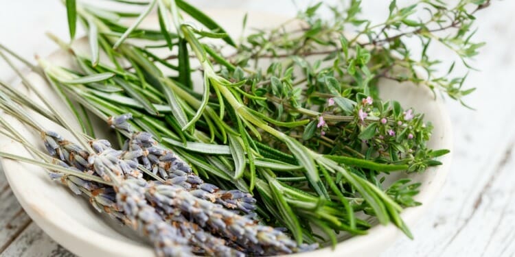 How to Start Growing Herbs at Home