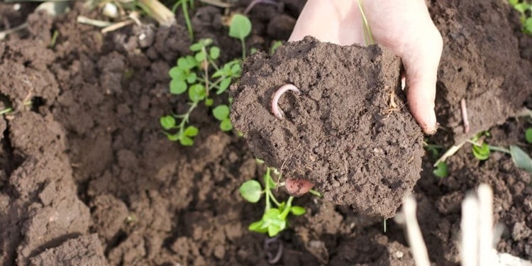 Agreena Secures 20 Million To Enhance Its Carbon Farming Market