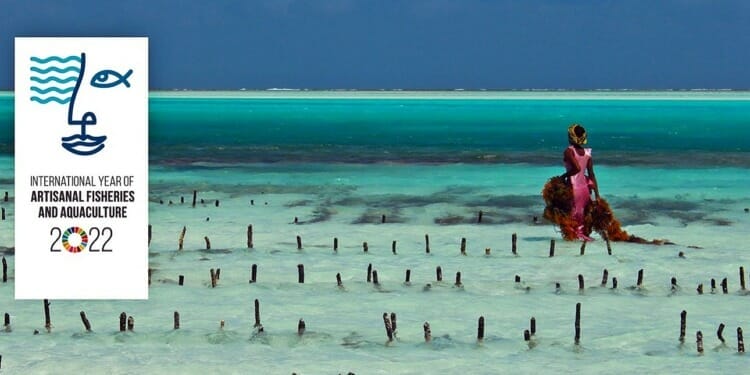 How Artisanal Fisheries Help Food Security and Rural Income 