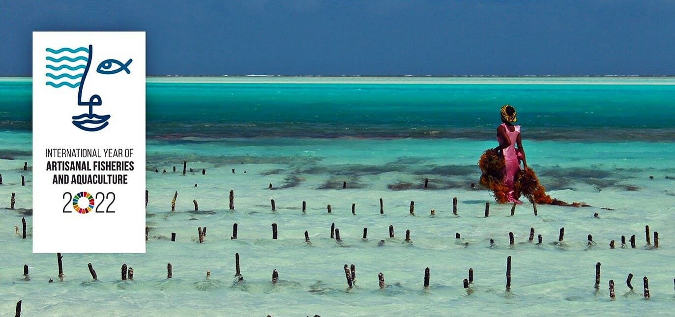 How Artisanal Fisheries Help Food Security and Rural Income