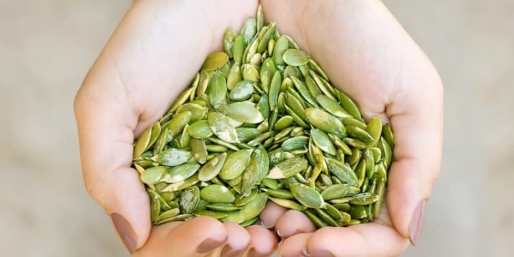 Seed Protein: A Win-Win for the Environment and Your Health?