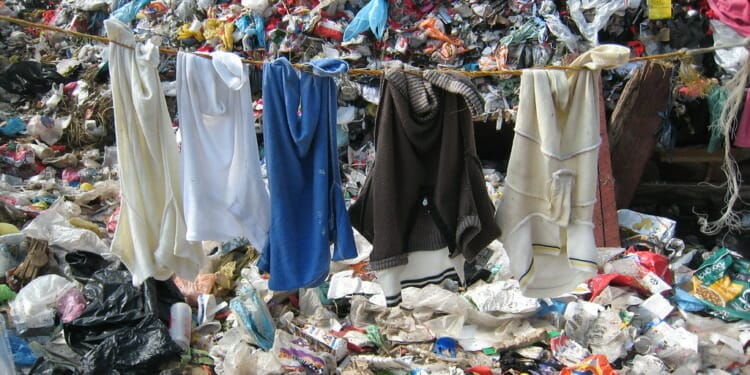 5 sins of greenwashing