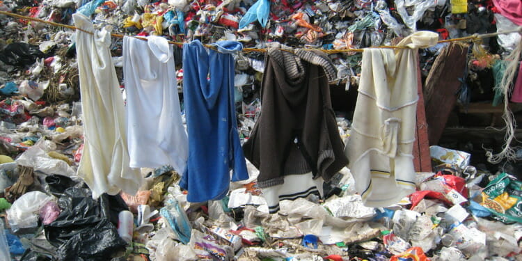 5 sins of greenwashing