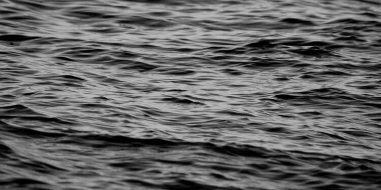 Evidence of Abuse by Greece: Migrants Found Frozen To Death 