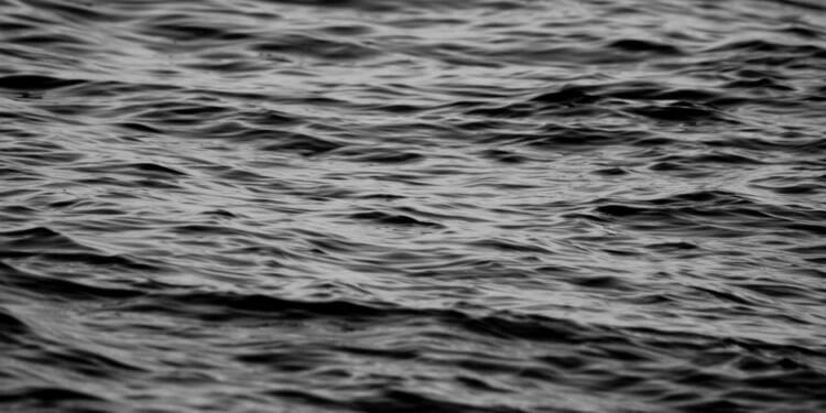 Evidence of Abuse by Greece: Migrants Found Frozen To Death