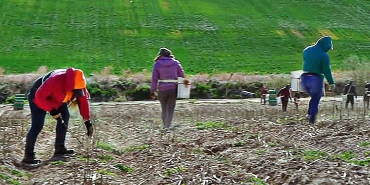 Non-Citizens and COVID: How Migrants Are Valuable Contributors