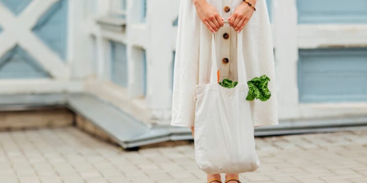 5 Ways To Live an Eco Friendly Lifestyle in an Urban City