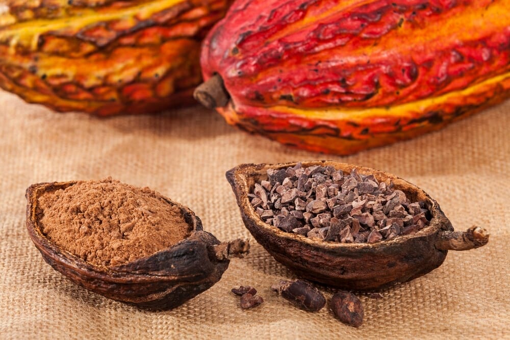 Cacao Plants