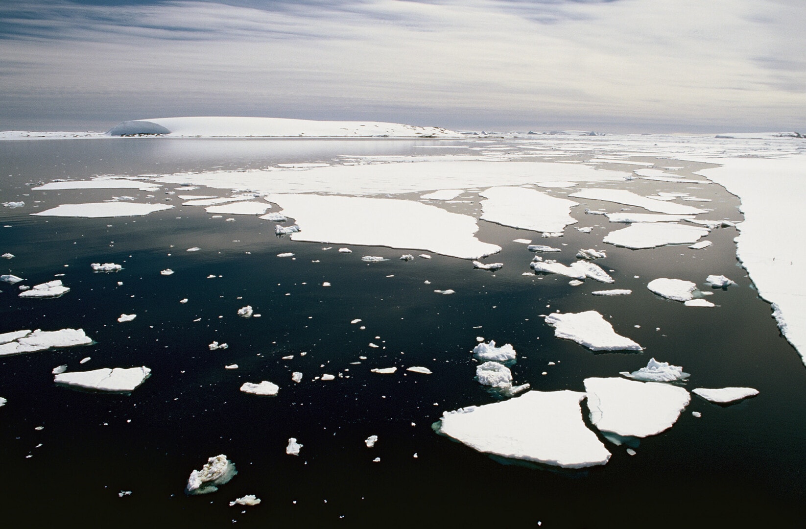 Heat Waves At The Poles Could Cause Sudden Climate Breakdown