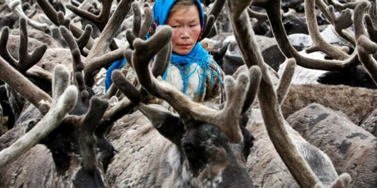 The Next Virus “Hotspot”, the Arctic: Why a One Health Response is Needed