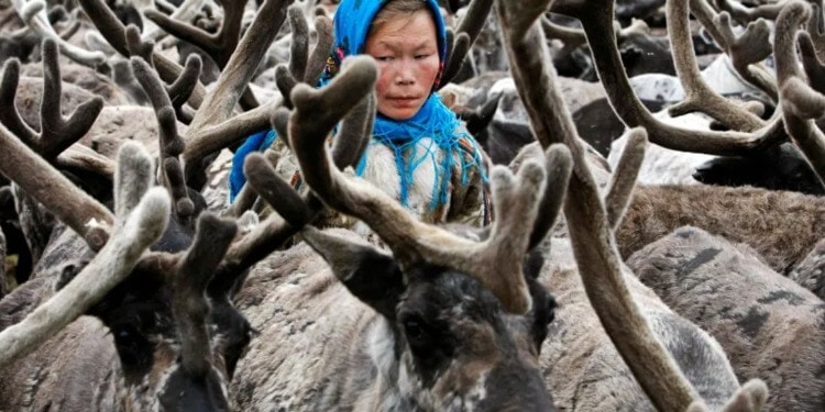 The Next Virus “Hotspot”, the Arctic: Why a One Health Response is Needed