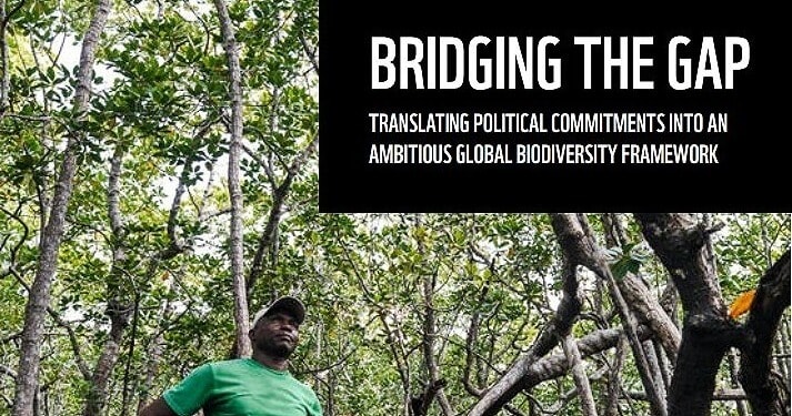 Governments Collectively Failing on Nature Pledges, Warns WWF