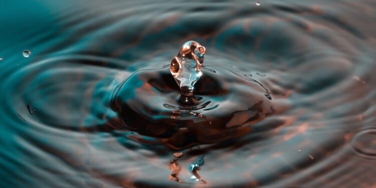 World Water Day 2022: Problems and Solutions in Water Management