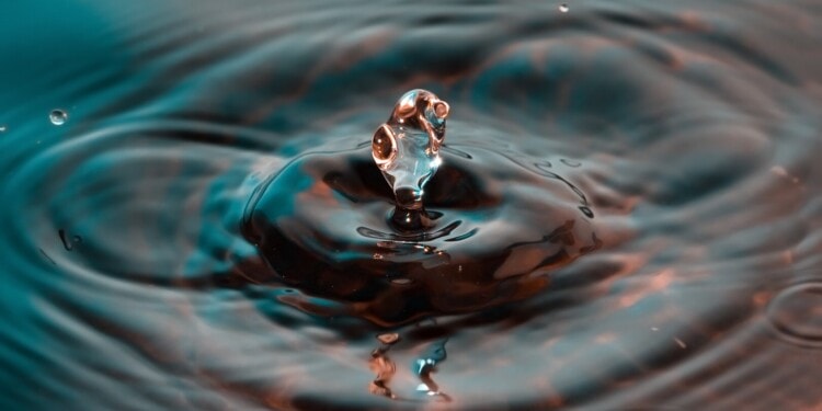 World Water Day 2022: Problems and Solutions in Water Management