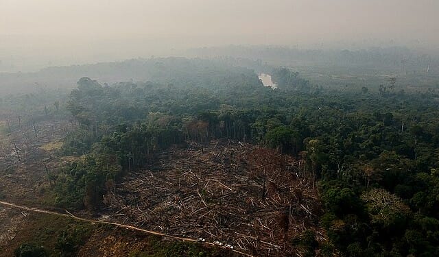 Thousands in Brazil protest against anti-environmental laws