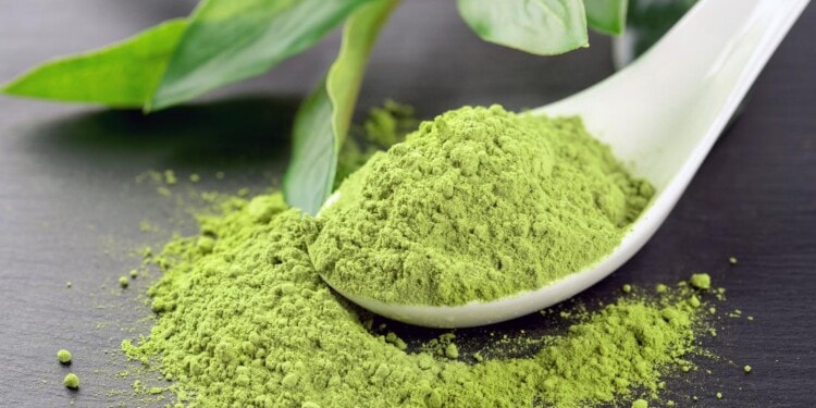 matcha powder
