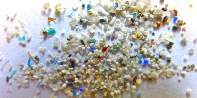 Microplastics Found in Human Blood