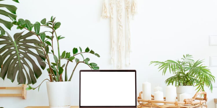 sustainable technology