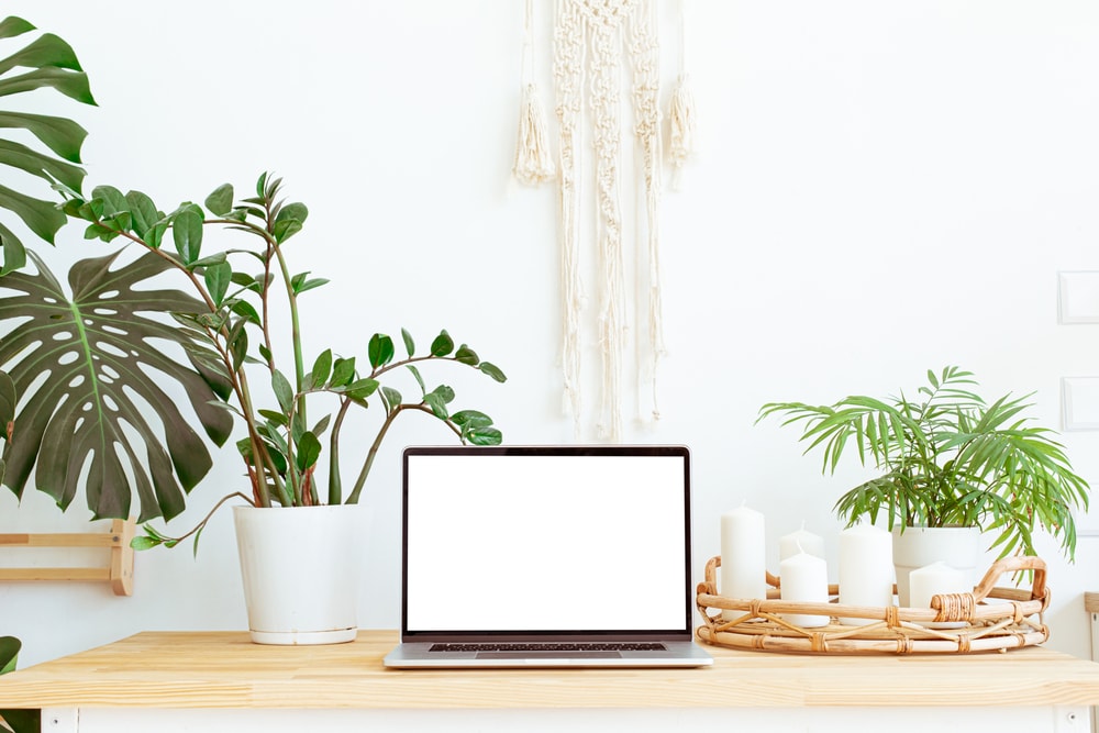 sustainable technology