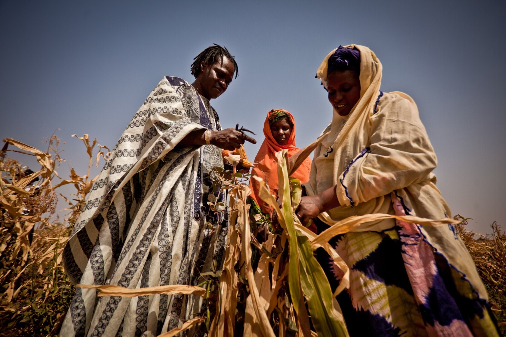 West Africa Hit by Worst Food Crisis in a Decade: 38 Million People Could Go Hungry by June