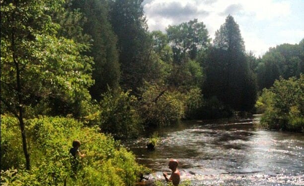 When Personhood Applies to Non-Humans