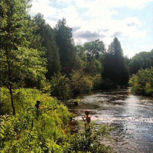 When Personhood Applies to Non-Humans