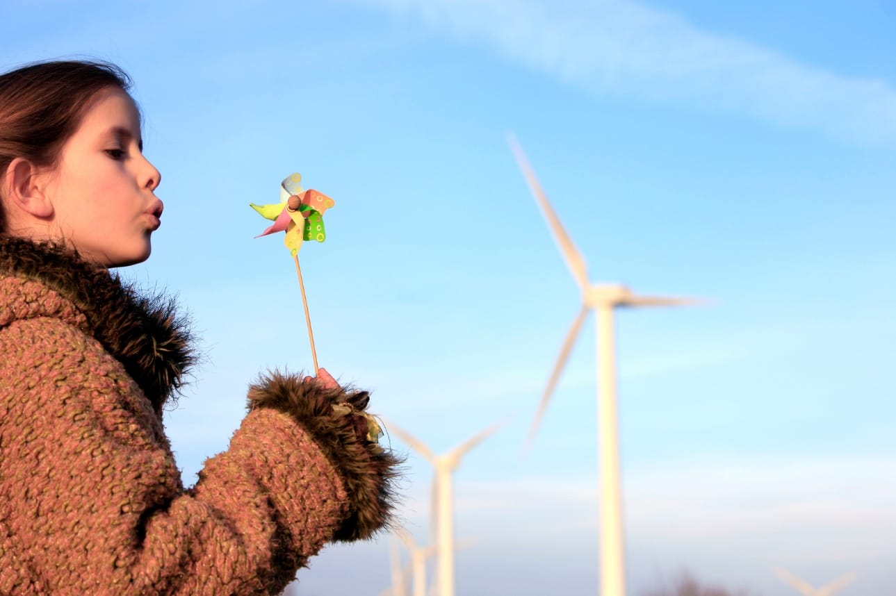 The Skills for the Green Economy: Upskilling for a Sustainable Future