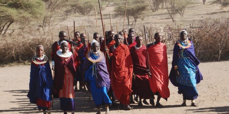 ‘We Have Nowhere Else to Go’: Thousands of Maasai Face Eviction From Their Ancestral Lands