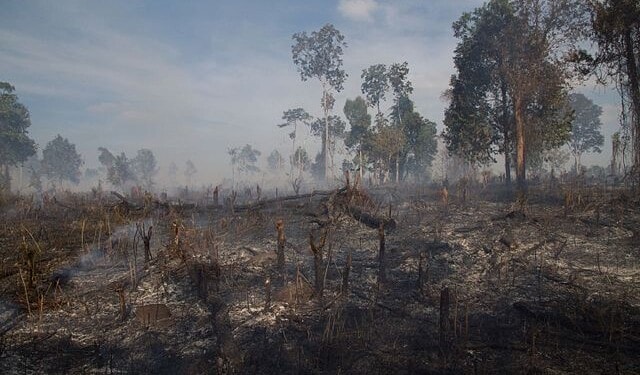 Cambodia Targets Environmental Activism