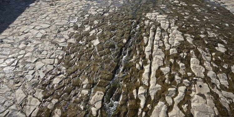 Climate Change Victim: Chile Faces Its Worst Drought in History