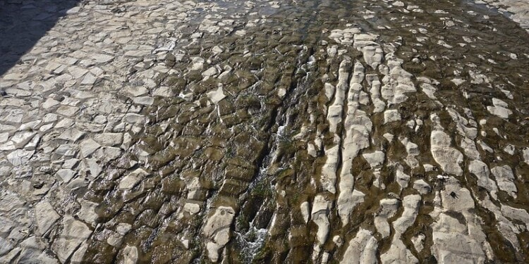 Climate Change Victim: Chile Faces Its Worst Drought in History