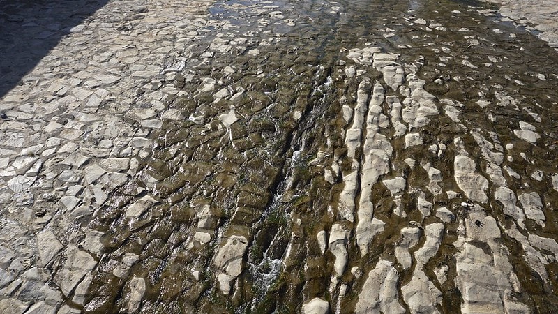 Climate Change Victim: Chile Faces Its Worst Drought in History