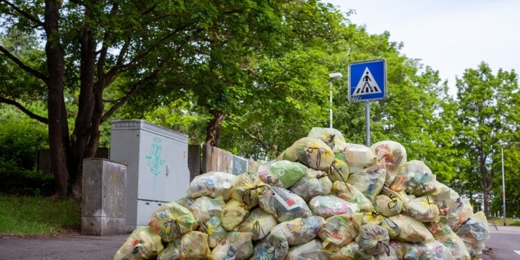 Wastelink, Solving India’s Food Waste Conundrum