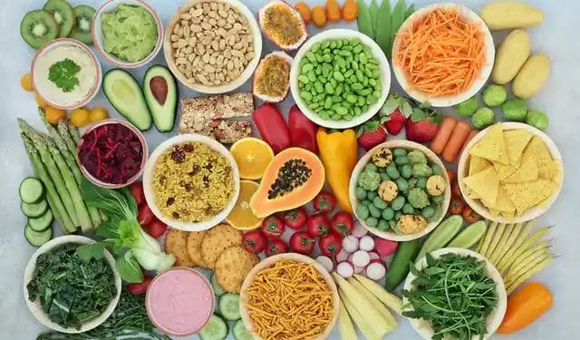 The Vegan Transition