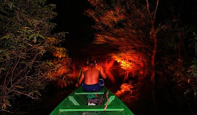 The Fight to Defend the Amazon Rainforest is Getting New Support