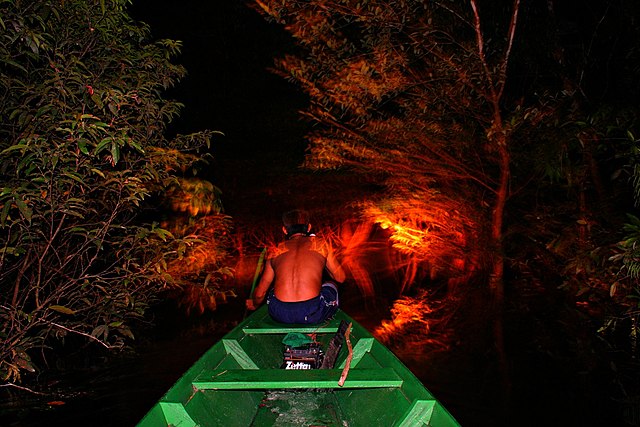 The Fight to Defend the Amazon Rainforest is Getting New Support