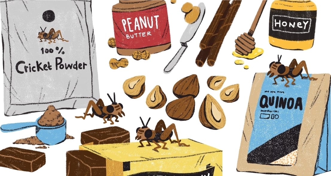 Alternative Food Startups Thriving in Singapore: Eating Smart