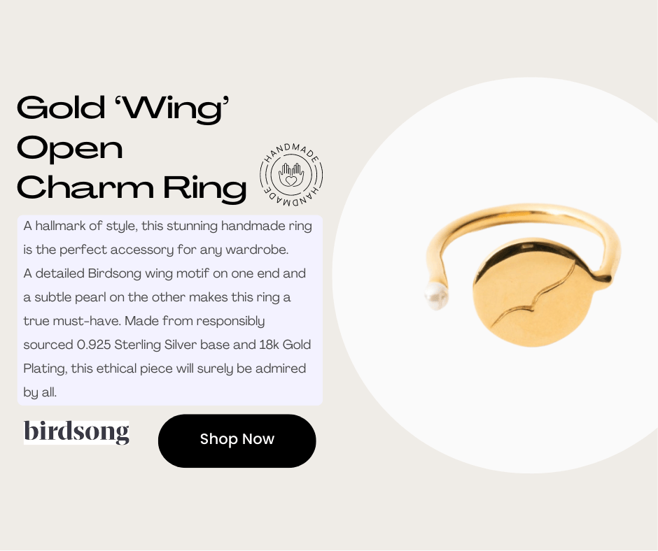 Sustainable ethical handmade silver ring