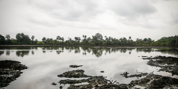 The Village That Stood up to Big Oil – and Won