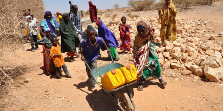 Windfall Tax on Covid Profits Could Ease ‘Catastrophic’ Food Crisis, Says Oxfam